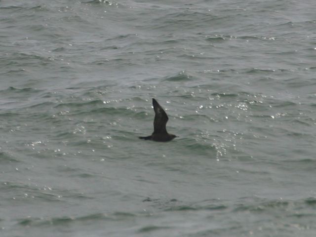 2002-09-01-257.jpg