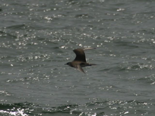2002-09-01-267.jpg
