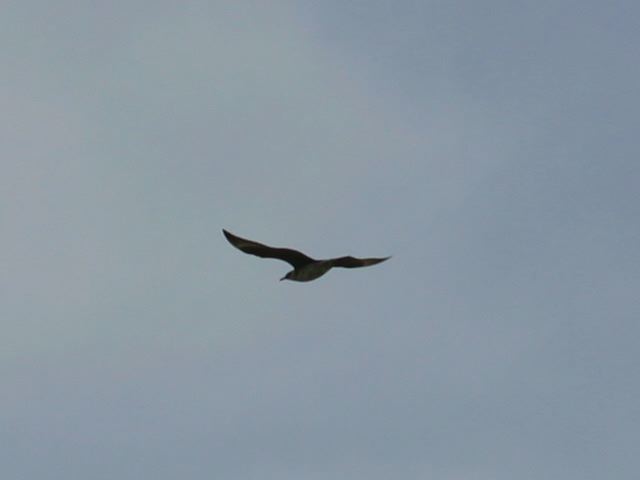 2002-09-01-268a.jpg