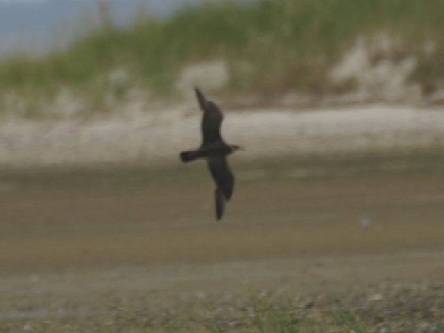 2002-09-01-282.jpg