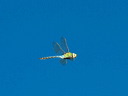 click thumbnail to load image