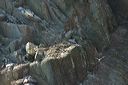 click thumbnail to load image