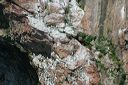 click thumbnail to load image