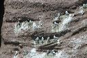 click thumbnail to load image