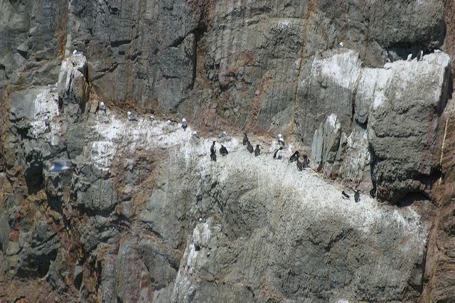 2005-07-01-159.jpg