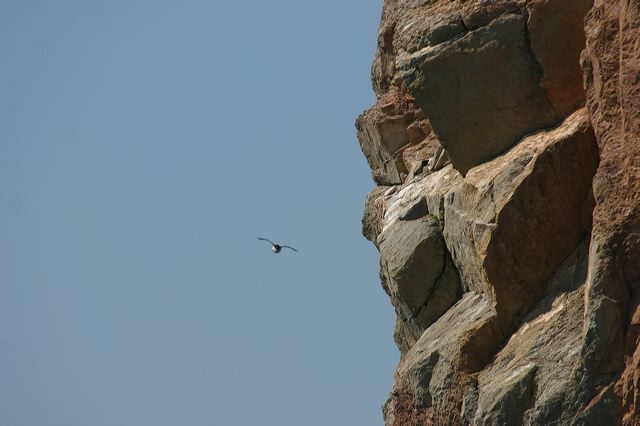 2005-07-01-167.jpg
