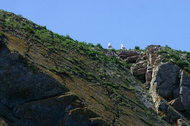 2005-07-01-172.jpg