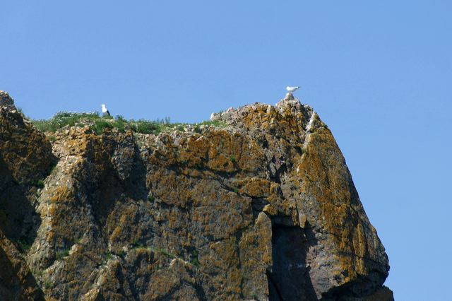 2005-07-01-176.jpg