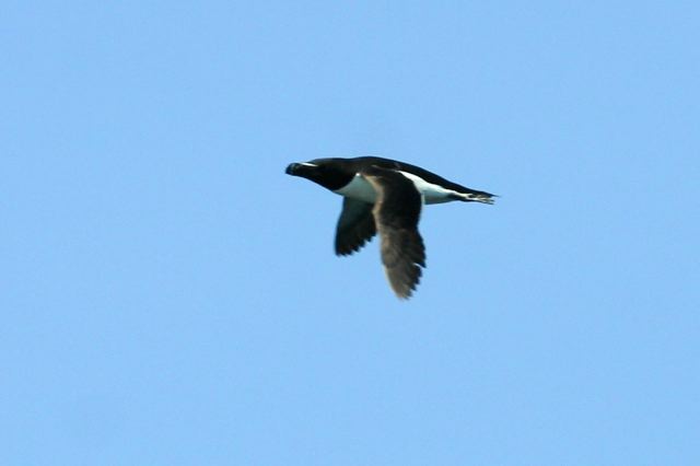 2005-07-01-211.jpg