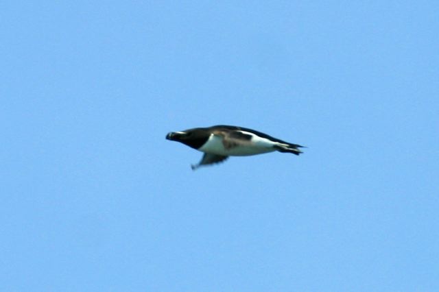 2005-07-01-212.jpg