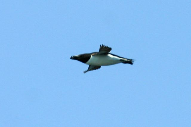 2005-07-01-214.jpg
