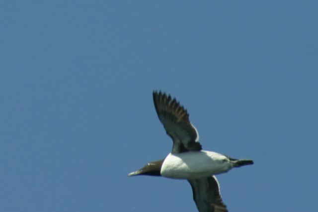 2005-07-01-219.jpg