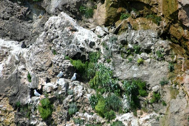 2005-07-01-244.jpg