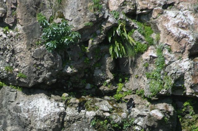 2005-07-01-245.jpg