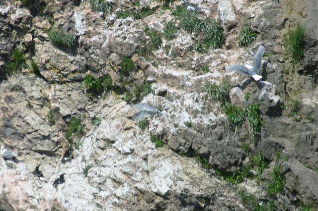 2005-07-01-246.jpg