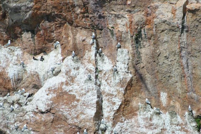 2005-07-01-250.jpg