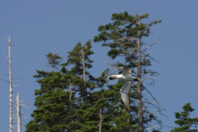 2005-07-01-253.jpg