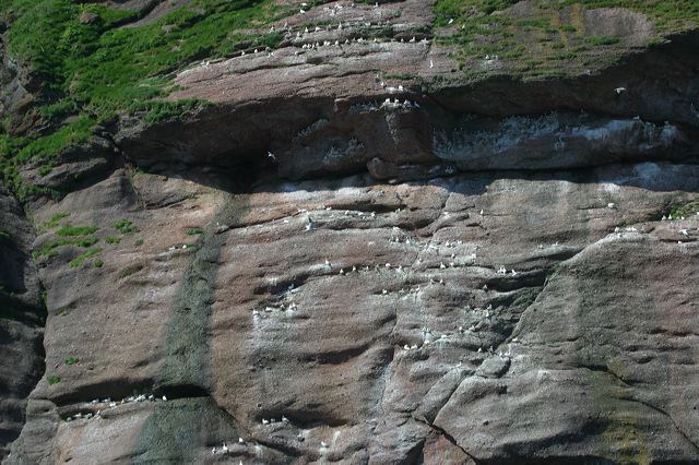 2005-07-01-254.jpg