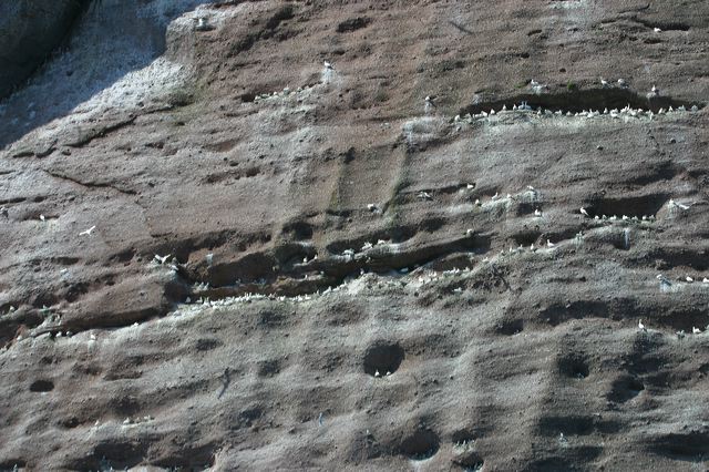 2005-07-01-256.jpg