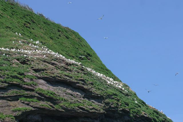 2005-07-01-265.jpg