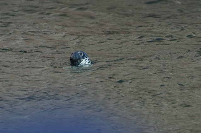 2005-07-01-274.jpg