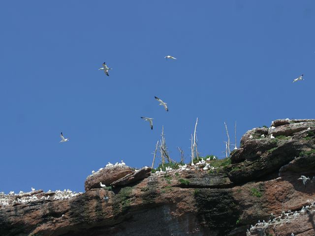 2005-07-01-296.jpg