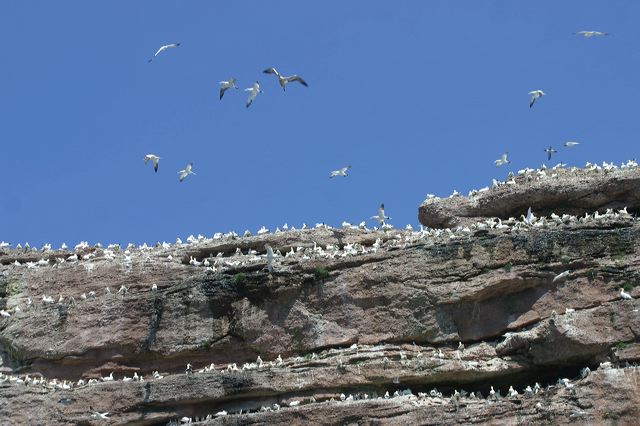 2005-07-01-302.jpg