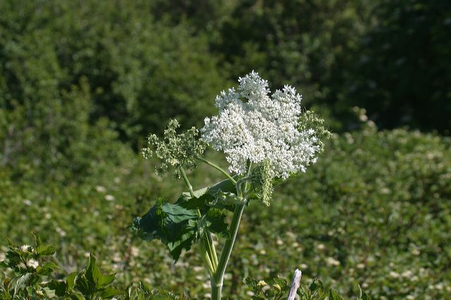 2005-07-02-147.jpg