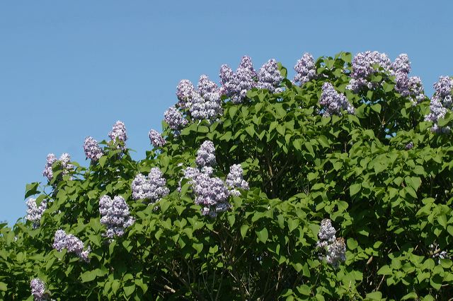 2005-07-02-154.jpg