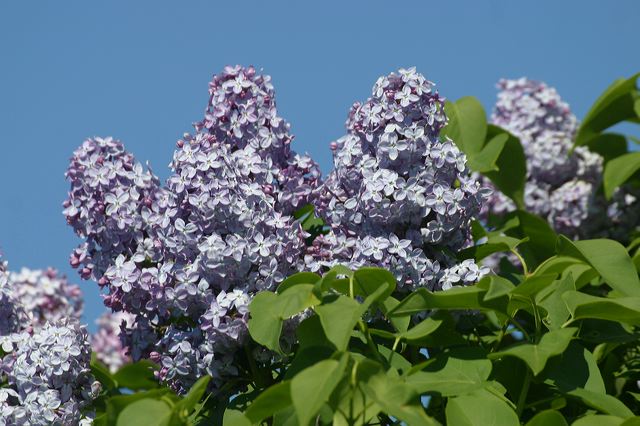 2005-07-02-156.jpg