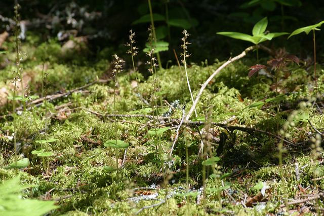 2005-07-02-208.jpg