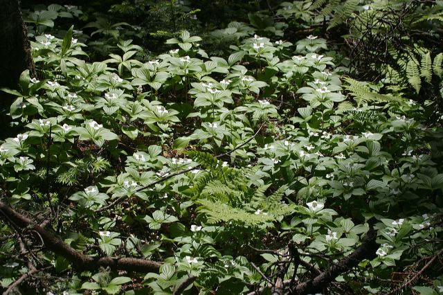 2005-07-02-219.jpg