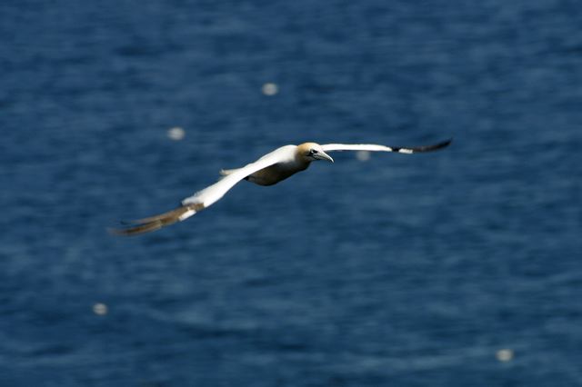2005-07-03-112.jpg