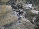 click thumbnail to load image