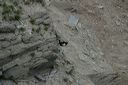 click thumbnail to load image