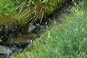 click thumbnail to load image