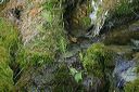 click thumbnail to load image