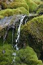 click thumbnail to load image