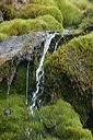 click thumbnail to load image