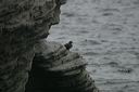 click thumbnail to load image