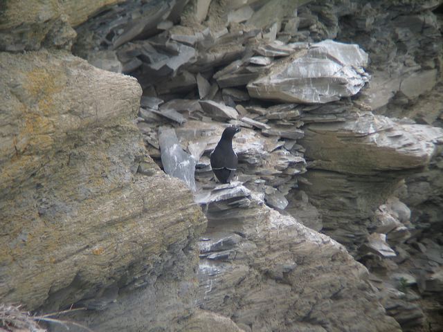 2005-07-04-059.jpg