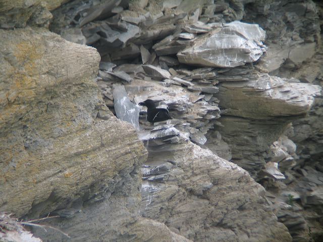 2005-07-04-062.jpg