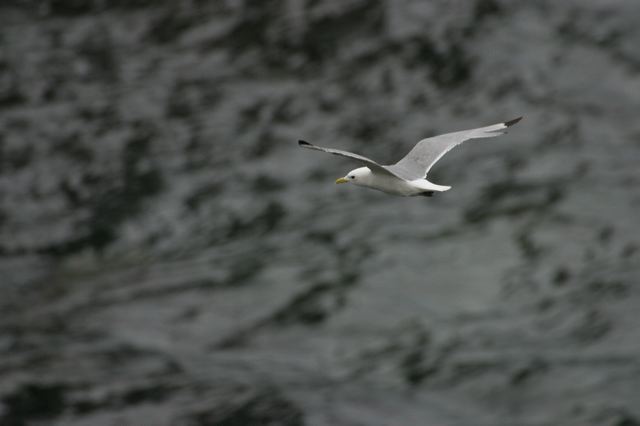 2005-07-04-108.jpg