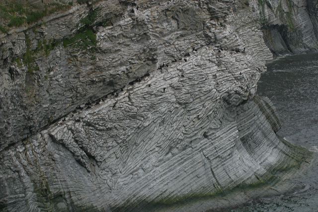 2005-07-04-130.jpg