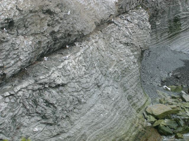 2005-07-04-132_1.jpg