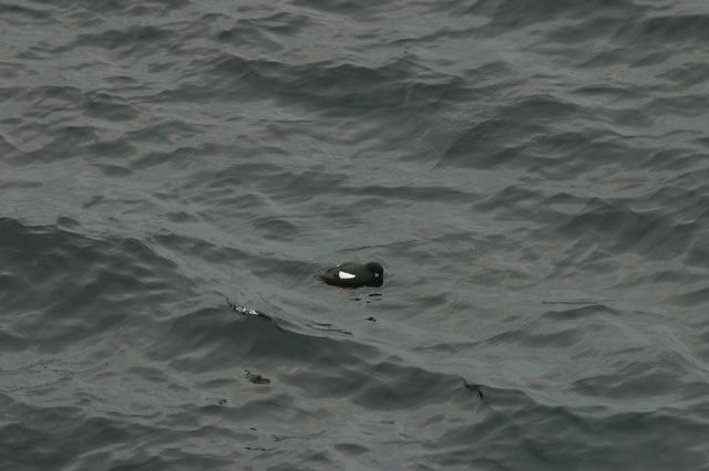 2005-07-04-134.jpg
