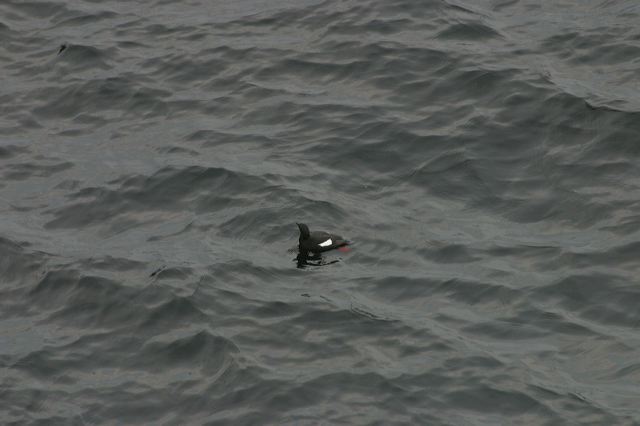 2005-07-04-135.jpg