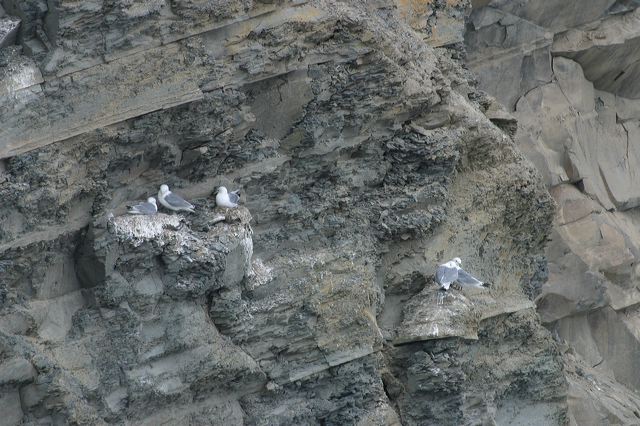 2005-07-04-142.jpg