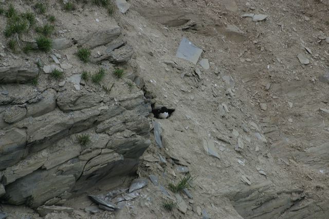 2005-07-04-144.jpg