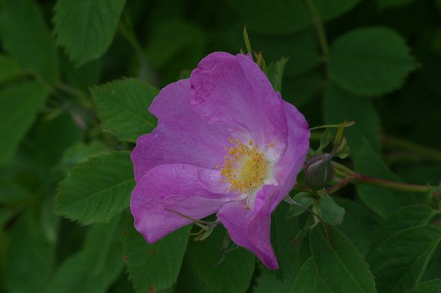 2005-07-04-154.jpg